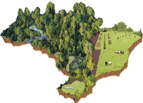 Topogeo Ambiental | Umuarama-Pr