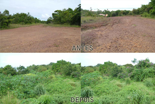 Topogeo Ambiental | Umuarama-Pr